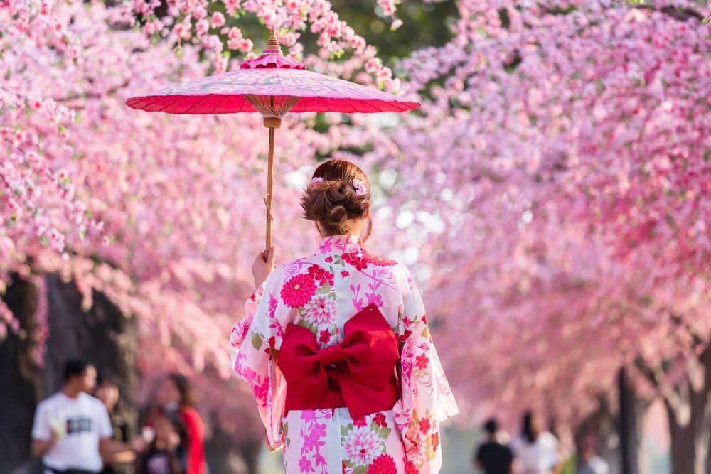 Unveiling the Enchanting Beauty of the Cherry Blossom Festival in Japan