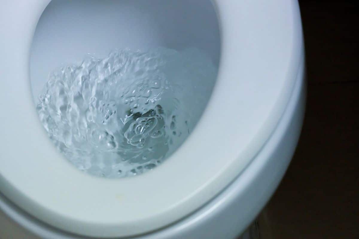 Everything You Need to Know About Toilet Swirls That Won't Flush
