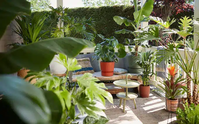 Six Ways To Get The Biggest Plants Outdoors